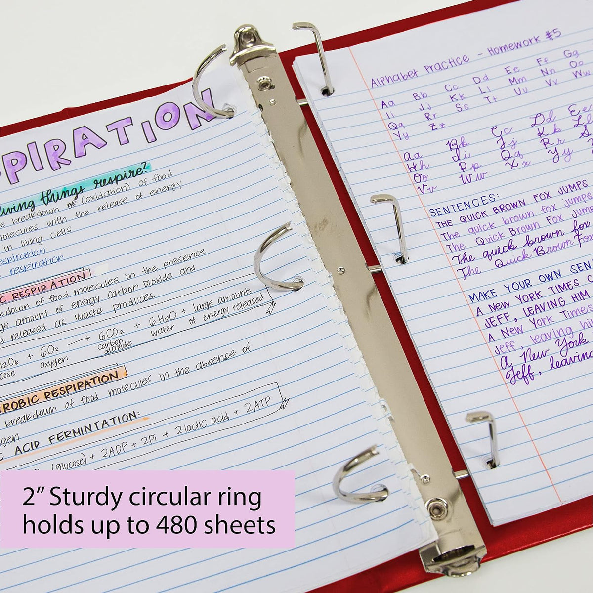 BAZIC Products 3 Ring Binder 2' View Binders Slant D Ring Organizer - Burgundy, Hold 480 Sheets Paper, for School Office Home, 12-Count